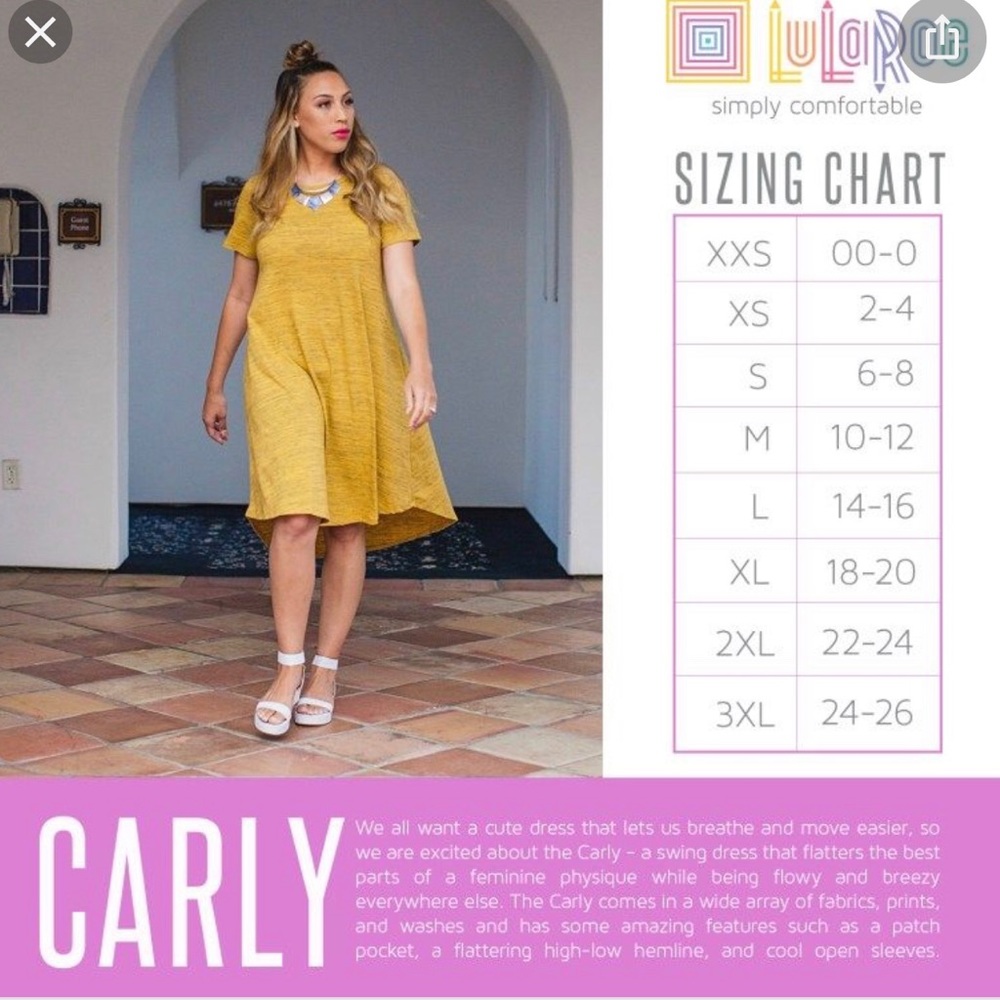 BNWT Lularoe Carly dress - Picture 5 of 5